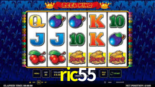 ric55.com